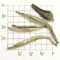 Organic China White Paklum Tips (ZW97) from Upton Tea Imports