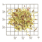 South African Green Rooibos Superior Organic from Upton Tea Imports