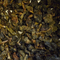 Formosa White Tip from Equator Estate Coffees & Teas