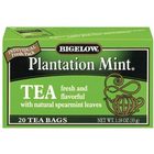 Plantation Mint from Bigelow