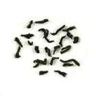 Lapsang Souchong Mainland China Classically smoked from Tea Trekker
