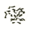 Lapsang Souchong Mainland China Classically smoked from Tea Trekker
