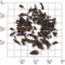 Nilgiri BOP from Upton Tea Imports