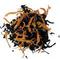 black mango from The Tao of Tea