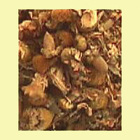 Licorice Spice from Chicago Coffee and Tea Exchange