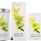 Green Tea from Hampstead Tea