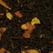 Grandma's Apple Pie from Two Tea Ladies