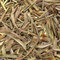 Lemongrass from Tea Boutique