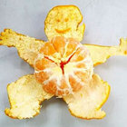 Mandarin Peel from Nature