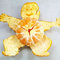 Mandarin Peel from Nature