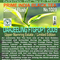 Darjeeling 2nd Flush 2009 FTGFOP1 Namring Estate from TeaFountain