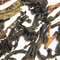 Top Chic Oolong from The Tea Set