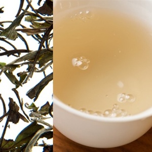 Bai Mu Dan from Samovar