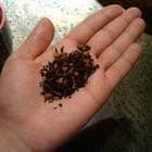 Baked Apple from Radiance Tea