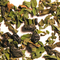 Signature Minty Elixir from The Tea Set