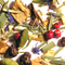 Spicy Fruity Pleasure from The Tea Set