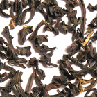 Succulent Indian Summer from The Tea Set