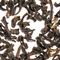 Succulent Indian Summer from The Tea Set