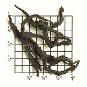 Special Edition Bohea Select from Upton Tea Imports