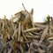 Yinzhen Bai Hao (Silver Needle) from In Pursuit of Tea