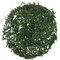 Gyokuro Gold from Essencha