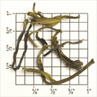TDC2: Tindharia Estate Oolong (DJ-54) from Upton Tea Imports