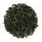 Anastasia from Kusmi Tea