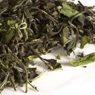 Pai Mu Tan Imperial ZW55 from Upton Tea Imports