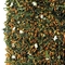 Genmaicha from Wiseman Tea Company