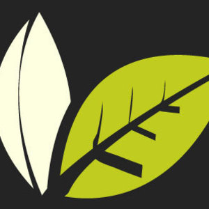 Wiseman Tea from Wiseman Tea Company