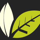 Wiseman Tea from Wiseman Tea Company