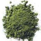Liquid Jade Matcha from The Tao of Tea