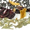 A Cup for Paulette from Adagio Teas