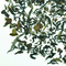 Fine Champagne from Teaopia
