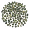 Organic Gunpowder from Imperial Tea Court