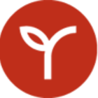 "Yellow Stick Orchid" Phoenix Oolong from Red Circle Tea
