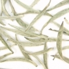 Silver Needle from Ocean of Tea