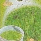 Organic Shizuoka Sencha from shizuokatea.com