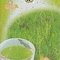 Organic Shizuoka Sencha from shizuokatea.com