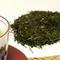 Sencha Fukamushi Superior from Hibiki-an