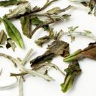 White Peony from Zhi Tea