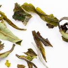 Oothu White from Zhi Tea