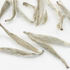 Silver Needle from Zhi Tea