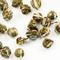 Dragon Phoenix - Jasmine Pearls from Zhi Tea