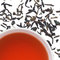 Darjeeling Extra Fancy Kalimpong from Peet's Coffee & Tea