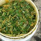 Labrador Tea from Wild Gaspe (Gaspésie Sauvage)
