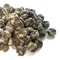 Jasmine Pearls from New Mexico Tea Company