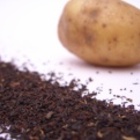 Irish Breakfast Blend from First Class Teas