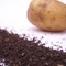 Irish Breakfast Blend from First Class Teas