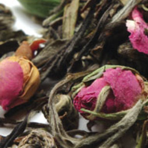 Meditative Mind from The Tea Spot